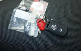 YAMAHA TRICITY 300 2021 SH15J