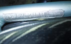 OTHER +UNREGISTERED MODEL by BDS1330 2021