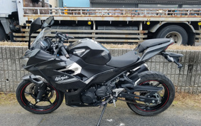 KAWASAKI NINJA 250 EX250P