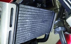 HONDA HORNET 250 2013 MC31
