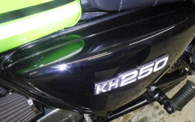 KAWASAKI KH250 KH250B