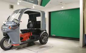 OTHER UNREGISTERED MODEL by BDS TRIKE250 2024