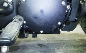 HARLEY XL1200NS 2019