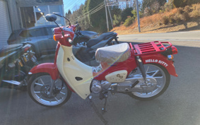 HONDA SUPER CUB110 JA59