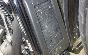 HARLEY FXBBS1870 2021