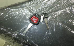 HONDA C50 SUPER CUB 2023 AA09