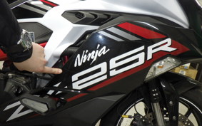 KAWASAKI ZX-25R ZX250E