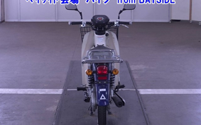 OTHER C110PU LOW 3