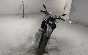 YAMAHA WR250X DG15J