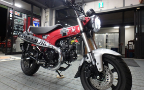 HONDA  DUX 125 JB04
