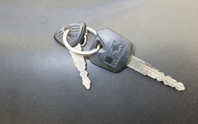 KAWASAKI NINJA 250 EX250L