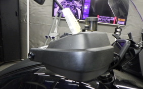 OTHER +HD. ﾊﾟﾝ AMERICA1250S 2021