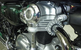 KAWASAKI W800 2021 EJ800B