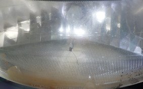 YAMAHA AXIS 125 TREET 2026 SE53J