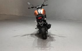 YAMAHA FZ-X RG73