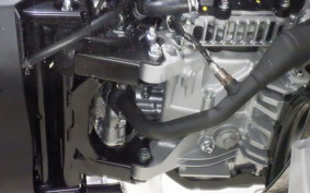 YAMAHA CYGNUS Griffus SEJ4J