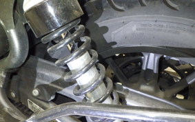 OTHER +ENFIELD SUPER ﾒﾃｵ650 2025