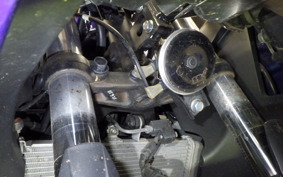 YAMAHA YZF-R25 A RG10J