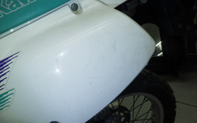 KAWASAKI KLX250 ES Type LX250E