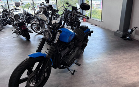 HARLEY FXBBS 2022 YYK