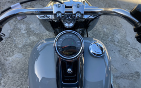 HARLEY  HARLEY FLFBS 2025 YGK