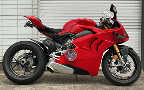 DUCATI PANIGA-REV4S 2021 DA00J
