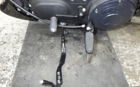 HARLEY XL883N 2020