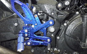 KAWASAKI Z250 Gen.2 2001 EX250P