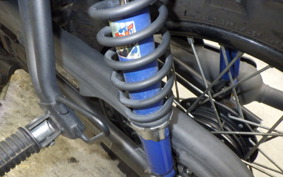KAWASAKI W175 SE