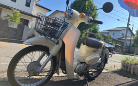 HONDA SUPER CUB110 JA44