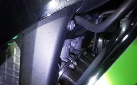 KAWASAKI NINJA ZX-6R A 2019 ZX636G