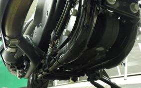 HARLEY XL883N 2017