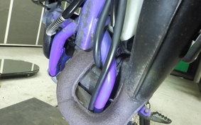 YAMAHA DT50 2024 17W