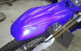 YAMAHA WR250R 2022 DG15J