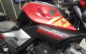 YAMAHA MT-25 2010 RG10J