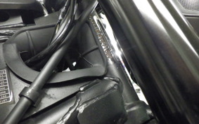 TRIUMPH TRIDENT 660 2022