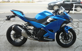 KAWASAKI NINJA 250 ABS EX250P