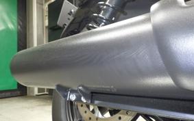 HARLEY RH975 2022