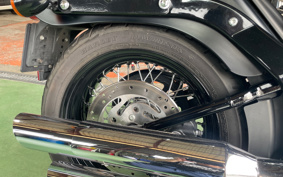 HARLEY FLSTSB 2008 JM5