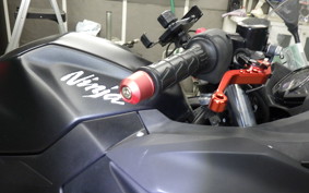 KAWASAKI NINJA 250 2 2026 EX250P