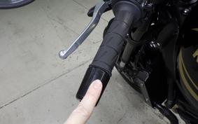 KAWASAKI Z900RS CAFE 2024