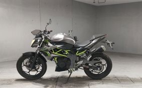 KAWASAKI Z250 SL BR250E