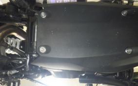 BMW G310R 2024