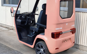 OTHER VEHICLE FUN EVTUKTUK ...