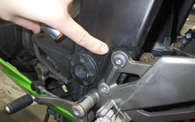 KAWASAKI NINJA 250 2009 EX250L
