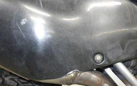 KAWASAKI KLX250 2025 LX250E