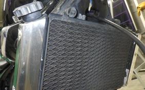 KAWASAKI ELIMINATOR 250 V 2024 VN250A