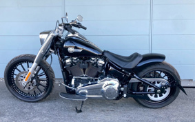 HARLEY FLFBS 2022 YGK