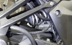 KAWASAKI NINJA 1000 A 2019 ZXT00W