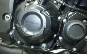 KAWASAKI Z1000 Gen.5 2017 ZXT00W